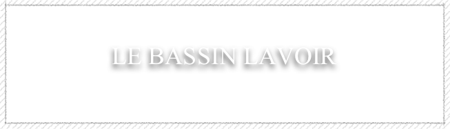 &#10;LE BASSIN LAVOIR&#10;&#10;